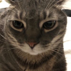 Meet your Posher, Gary